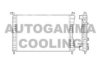 AUTOGAMMA 101188 Radiator, engine cooling